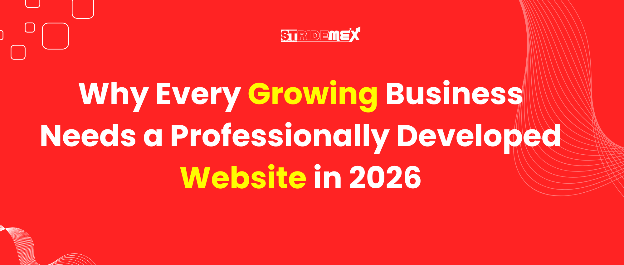 Why Every Growing Business Needs a Professionally Developed Website in 2026